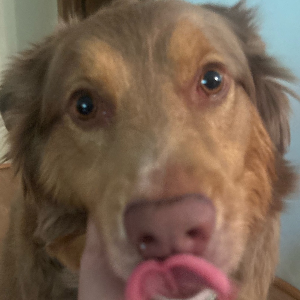 Meet your Posher, Kacey